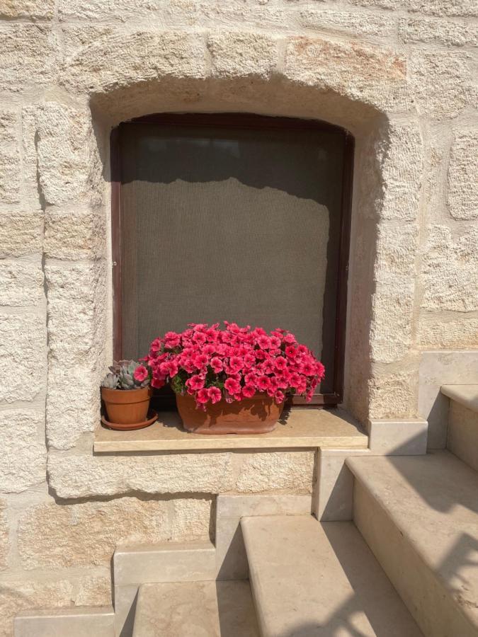 Lamanna Summer House Polignano a Mare Zewnętrze zdjęcie