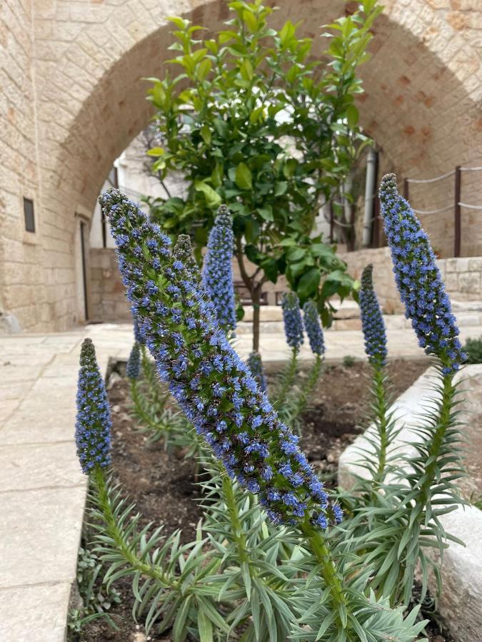 Lamanna Summer House Polignano a Mare Zewnętrze zdjęcie